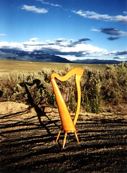 Harp under Western Sky