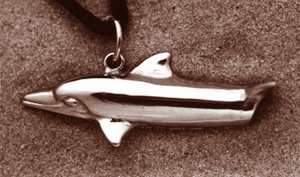 Photo of Dolphin Whistle