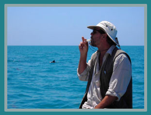 Steve Allerton playing a dolphin whistle to the dolphin swimming by